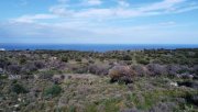 Kokkino Chorio Kreta, Kokkino Chorio: Grundstück in ruhiger Lage mit Meerblick zu verkaufen Grundstück kaufen